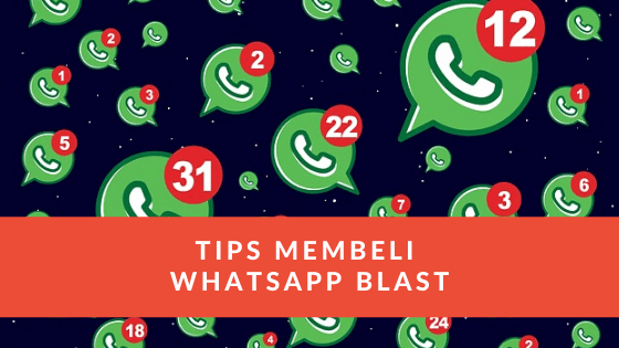 Tips Membeli WhatsApp Blast