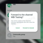 Whatsapp Channel Forwarding